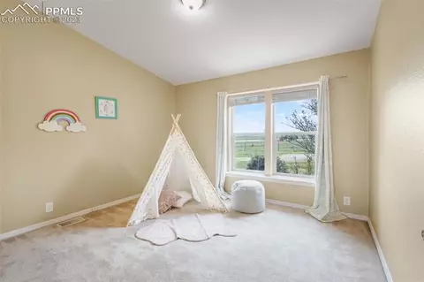 14980 Tiboria Loop, Peyton, CO 80831 photo 13