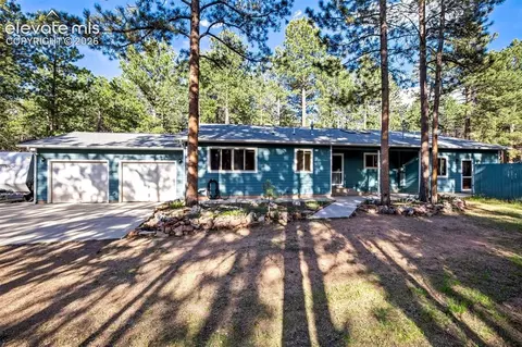 167 E Kelleys Rd, Woodland Park, CO 80863