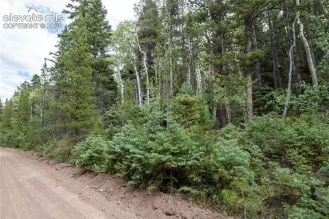 lot2238 Buonaventura Ln, Fort Garland, CO 81133