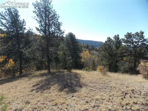 1944 May Queen Dr, Cripple Creek, CO 80813
