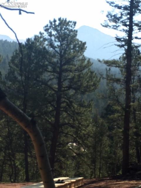 73 Calcite Dr, Divide, CO 80814 photo 2