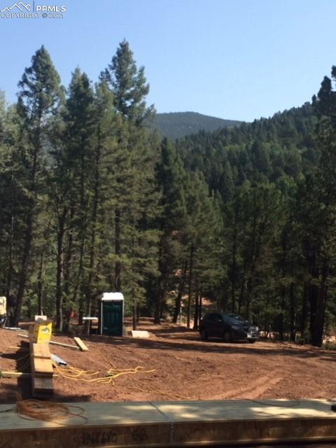 73 Calcite Dr, Divide, CO 80814 photo 4