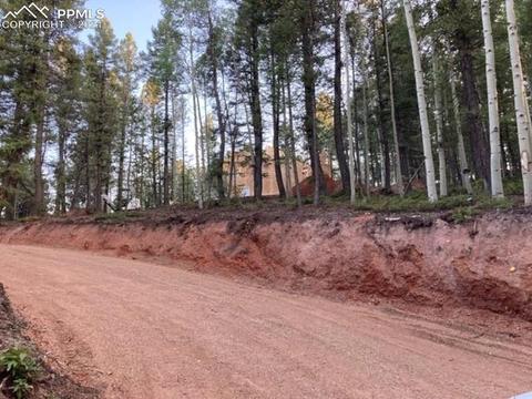 73 Calcite Dr, Divide, CO 80814 photo 10