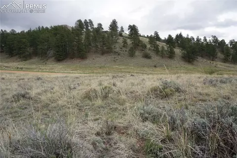 506 Forge Dr, Florissant, CO 80816
