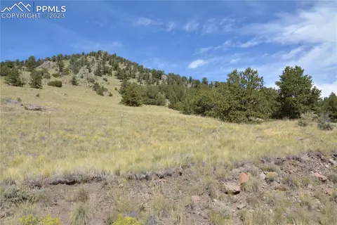 lot47 Saddle Mountain Pass, Guffey, CO 80820