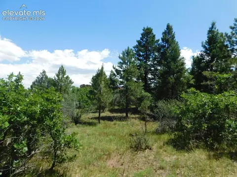 6447 Thunderbird Rd, Larkspur, CO 80118