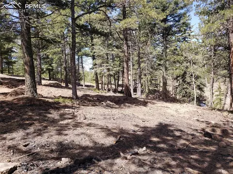 10460 Peavey Pl, Woodland Park, CO 80863