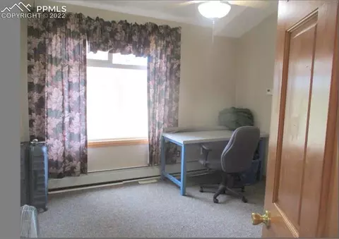 463 Broken Wheel Dr, Divide, CO 80814 photo 10