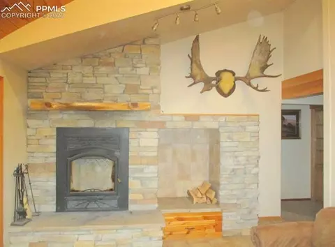 463 Broken Wheel Dr, Divide, CO 80814 photo 8
