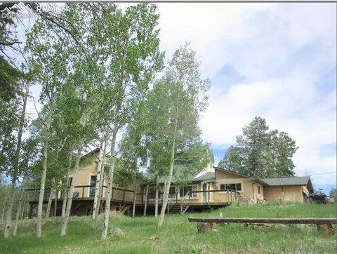 463 Broken Wheel Dr, Divide, CO 80814 photo 1