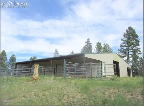 463 Broken Wheel Dr, Divide, CO 80814 photo 17