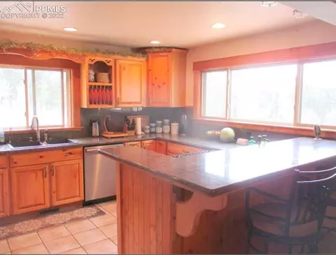 463 Broken Wheel Dr, Divide, CO 80814 photo 3