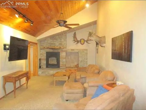 463 Broken Wheel Dr, Divide, CO 80814 photo 7