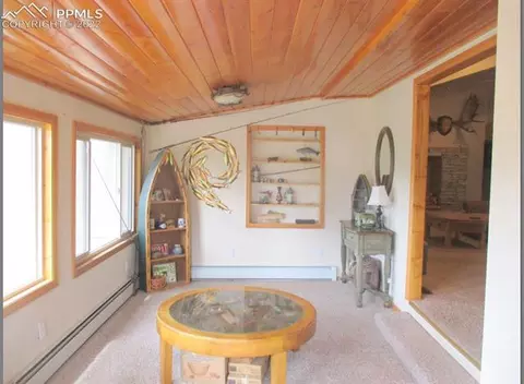 463 Broken Wheel Dr, Divide, CO 80814 photo 2