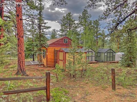 231 Buffum St, Bailey, CO 80421 photo 23