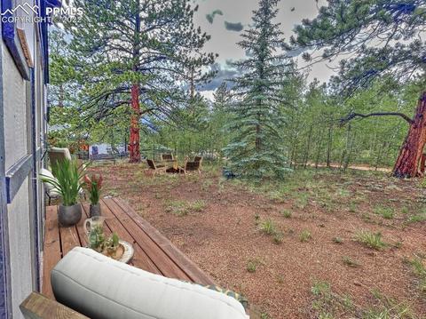 231 Buffum St, Bailey, CO 80421 photo 13