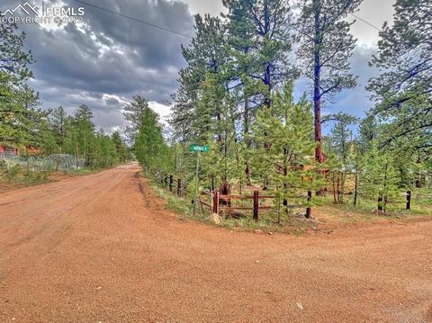 231 Buffum St, Bailey, CO 80421 photo 16