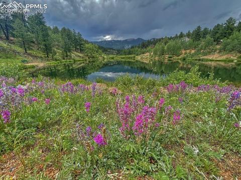 231 Buffum St, Bailey, CO 80421 photo 21