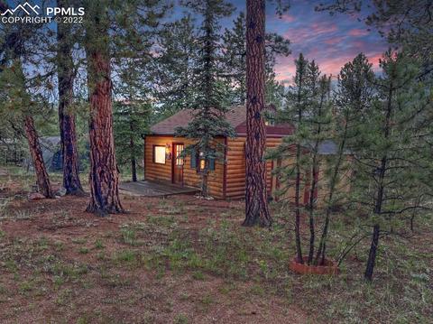 231 Buffum St, Bailey, CO 80421 photo 1