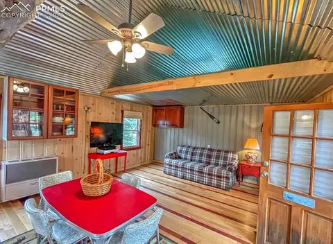 231 Buffum St, Bailey, CO 80421 photo 5