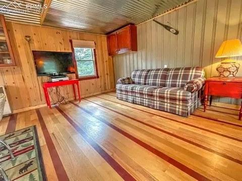 231 Buffum St, Bailey, CO 80421 photo 7