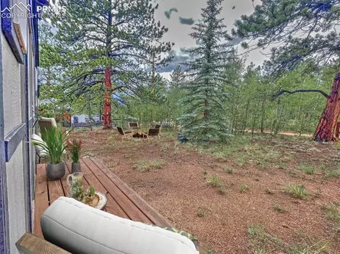 231 Buffum St, Bailey, CO 80421 photo 13