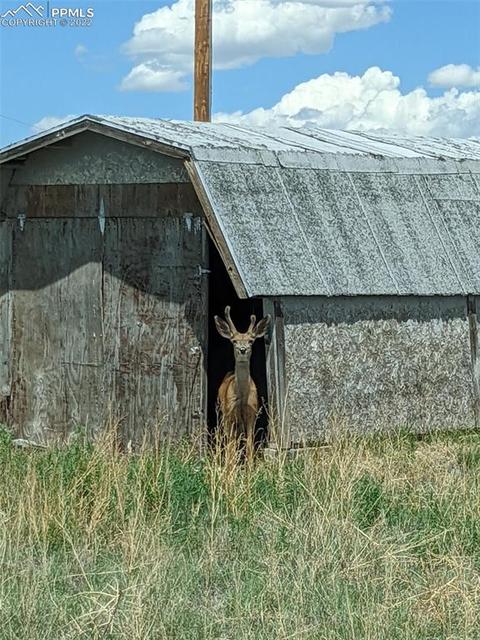 34480 Truckton Rd, Yoder, CO 80864 photo 4