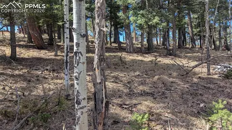 924 Will Scarlet Dr, Divide, CO 80814