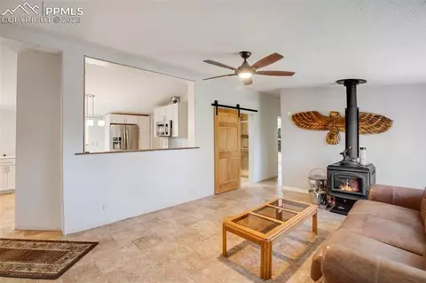 5518 County Road 5, Divide, CO 80814 photo 4