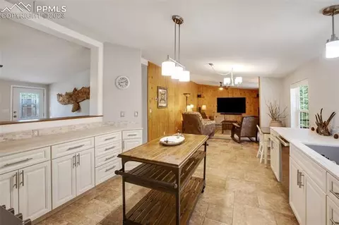 5518 County Road 5, Divide, CO 80814 photo 15