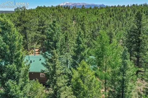 5518 County Road 5, Divide, CO 80814 photo 42