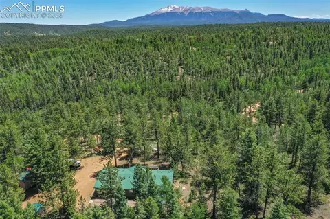 5518 County Road 5, Divide, CO 80814 photo 41