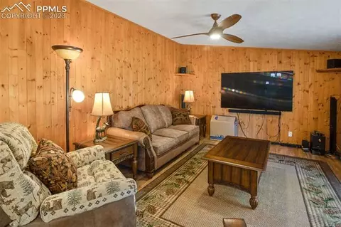 5518 County Road 5, Divide, CO 80814 photo 22