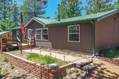 5518 County Road 5, Divide, CO 80814 photo 49