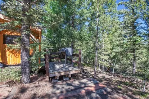 5518 County Road 5, Divide, CO 80814 photo 31