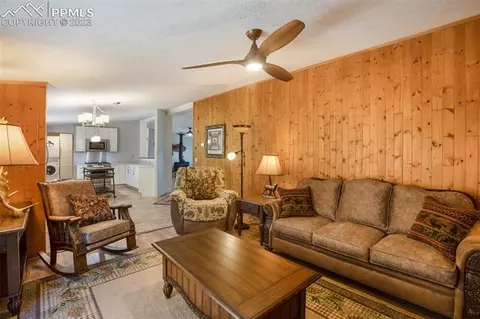 5518 County Road 5, Divide, CO 80814 photo 21