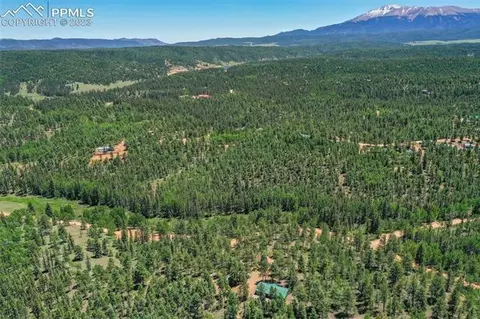5518 County Road 5, Divide, CO 80814 photo 40