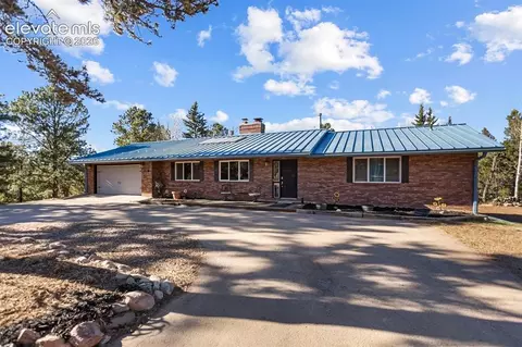 175 Piney Point Ln, Woodland Park, CO 80863