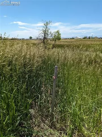 15835 Alta Plaza Cir, Peyton, CO 80831 photo 13