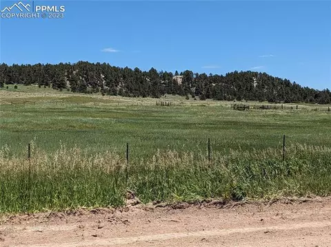 15835 Alta Plaza Cir, Peyton, CO 80831 photo 9