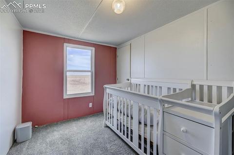35525 Fossinger Rd, Yoder, CO 80864 photo 22