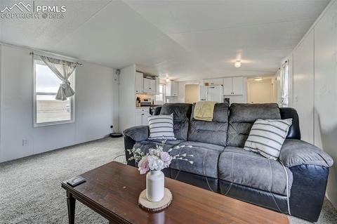 35525 Fossinger Rd, Yoder, CO 80864 photo 10
