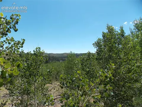 615 Valley Dr, Florissant, CO 80816