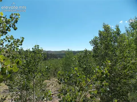 615 Valley Dr, Florissant, CO 80816