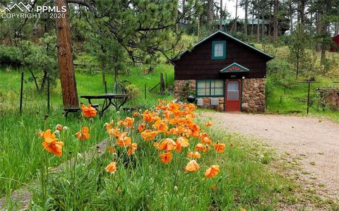 4425 Hagerman Ave, Cascade, CO 80809 photo 3