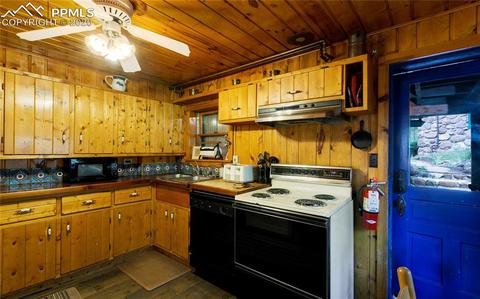 4425 Hagerman Ave, Cascade, CO 80809 photo 8