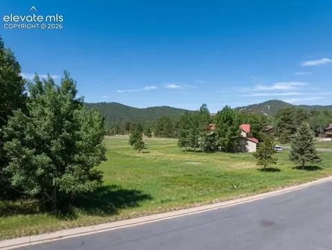 921 Heather Ct, Woodland Park, CO 80863