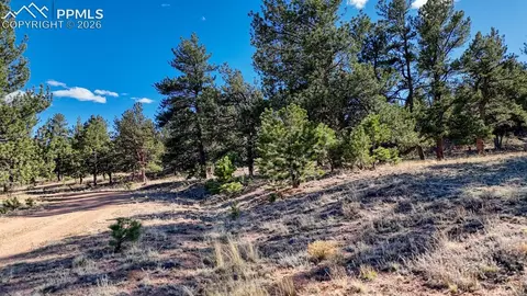 lot5124 Arikara Trl, Hartsel, CO 80449