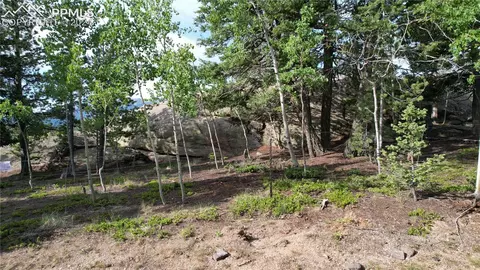214 Arapahoe St, Woodland Park, CO 80816