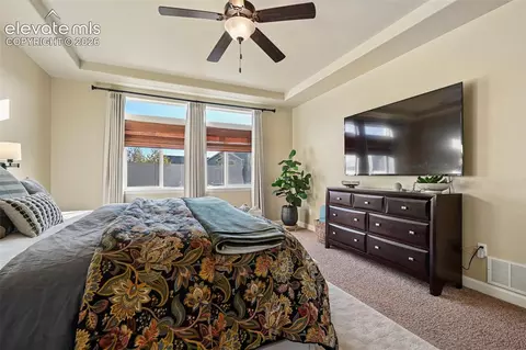 Bedroom - 10071 Mount Princeton Dr, Peyton, CO 80831 photo 2 of 8
